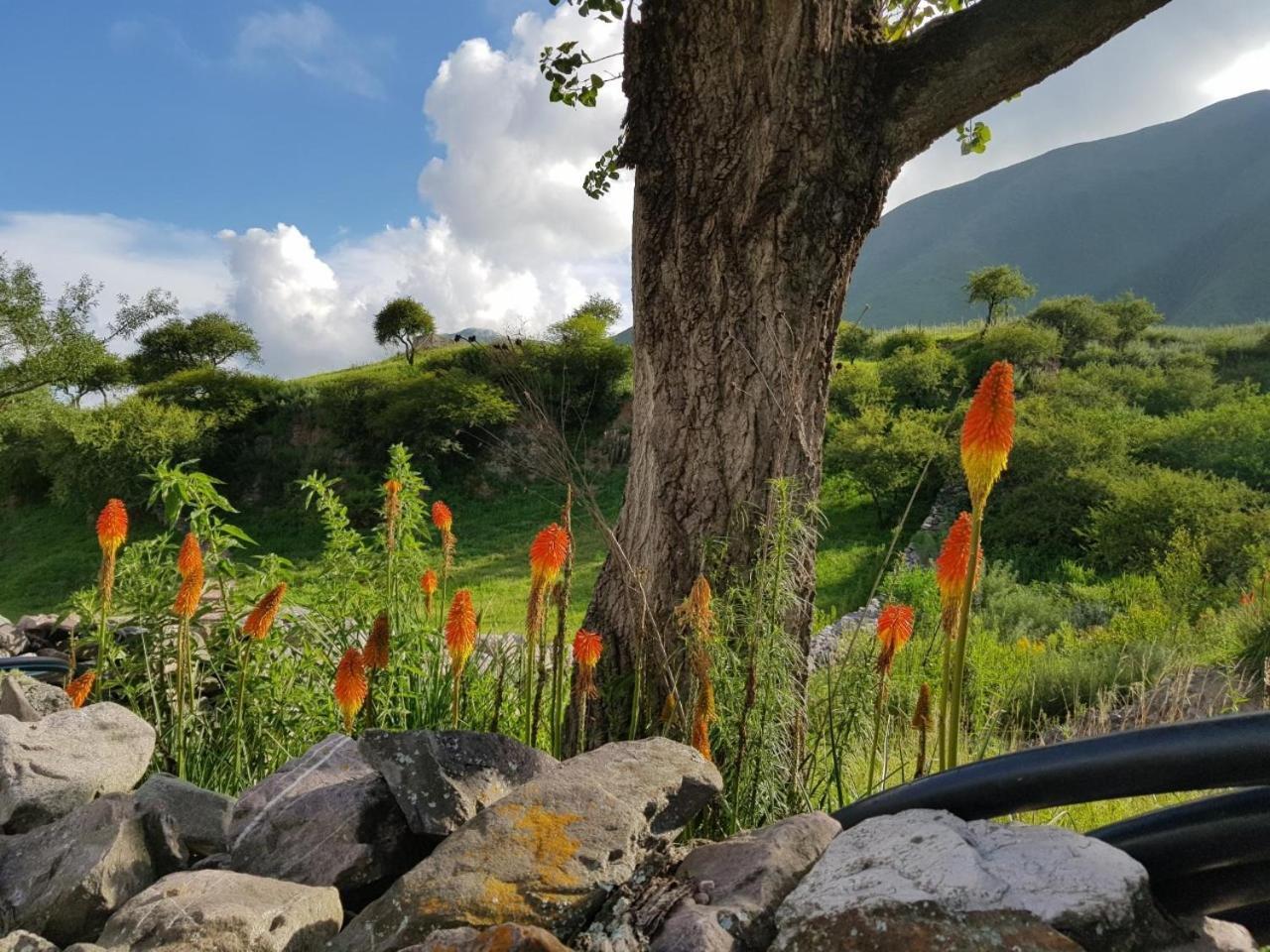 Vila La Morada Purmamarca Exteriér fotografie