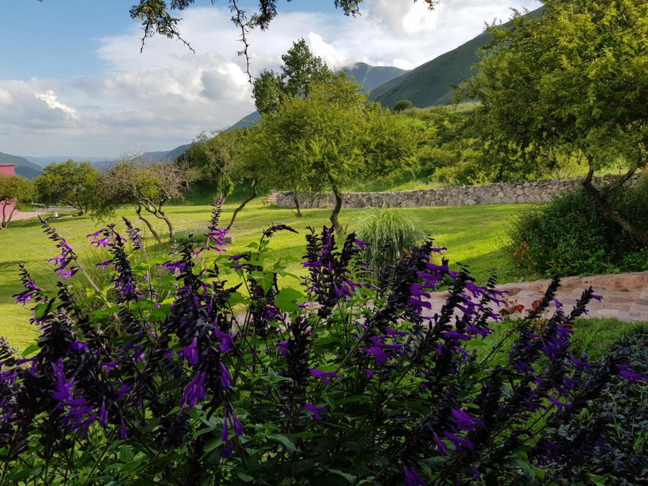 Vila La Morada Purmamarca Exteriér fotografie