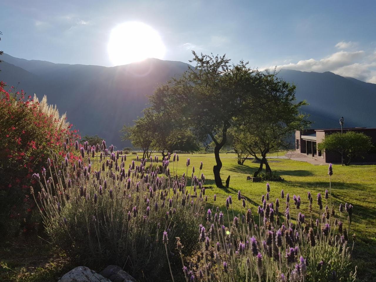 Vila La Morada Purmamarca Exteriér fotografie